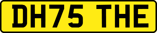 DH75THE