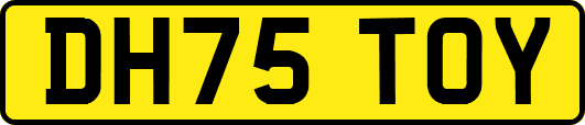 DH75TOY