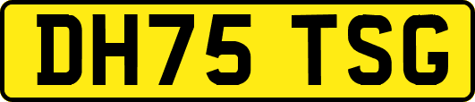 DH75TSG