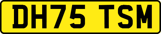 DH75TSM