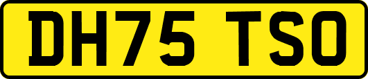 DH75TSO