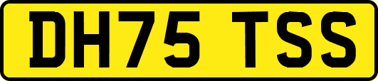 DH75TSS