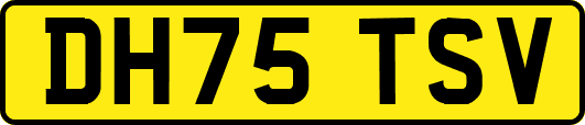 DH75TSV