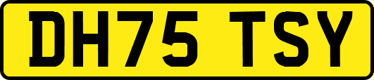 DH75TSY