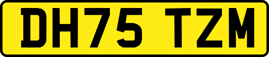 DH75TZM
