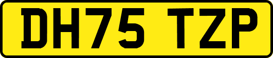 DH75TZP