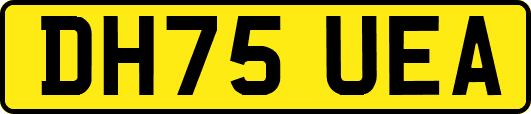 DH75UEA