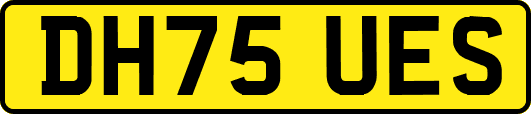 DH75UES