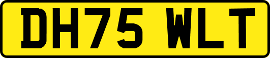DH75WLT