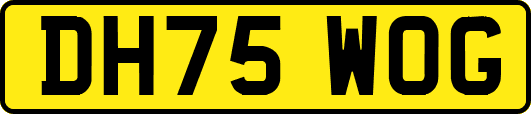 DH75WOG