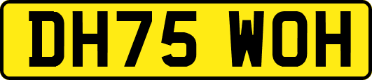 DH75WOH