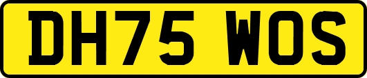DH75WOS