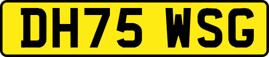 DH75WSG