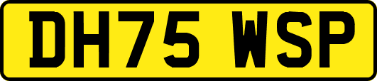 DH75WSP