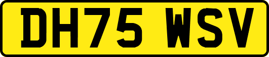 DH75WSV