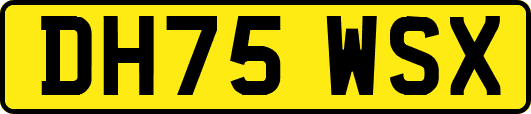 DH75WSX