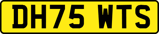 DH75WTS