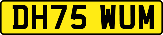 DH75WUM
