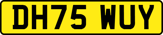 DH75WUY