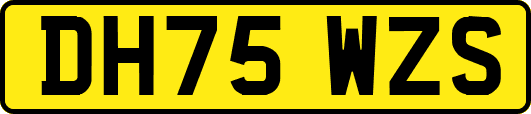 DH75WZS