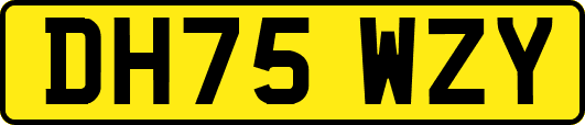 DH75WZY