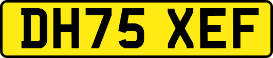 DH75XEF
