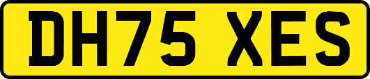DH75XES