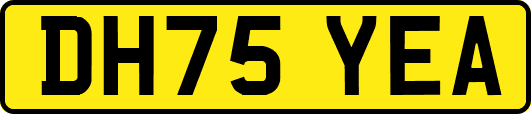 DH75YEA