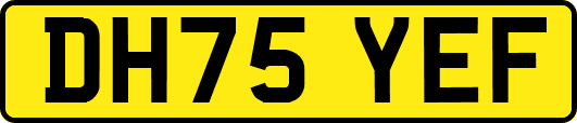 DH75YEF