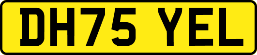DH75YEL