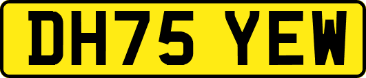 DH75YEW