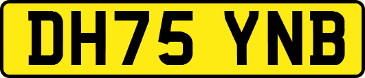DH75YNB