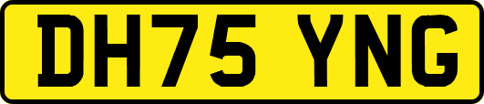 DH75YNG