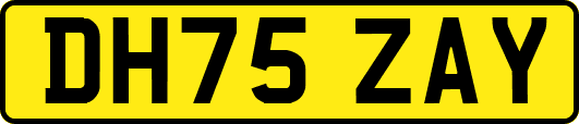 DH75ZAY