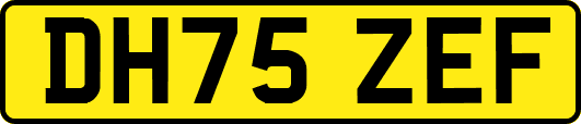 DH75ZEF