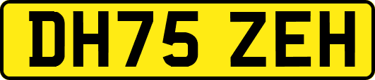 DH75ZEH