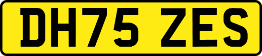 DH75ZES