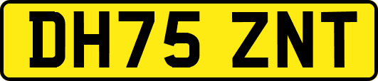 DH75ZNT