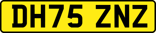 DH75ZNZ