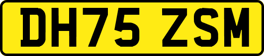 DH75ZSM
