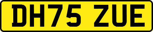 DH75ZUE