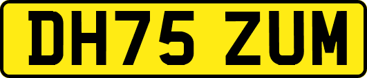 DH75ZUM