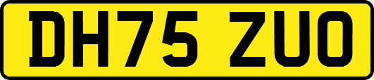 DH75ZUO