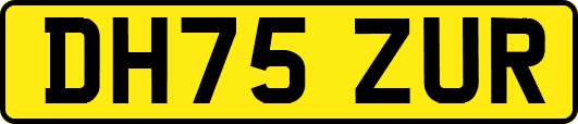 DH75ZUR