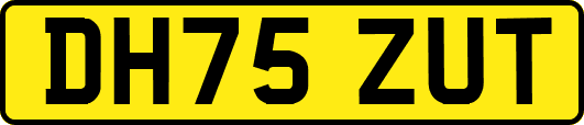 DH75ZUT