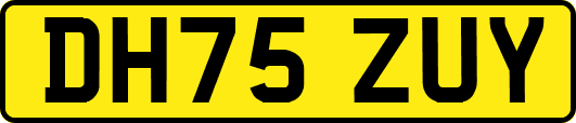 DH75ZUY
