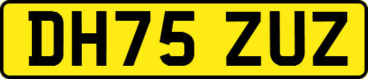 DH75ZUZ