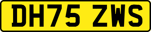 DH75ZWS