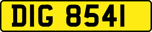 DIG8541