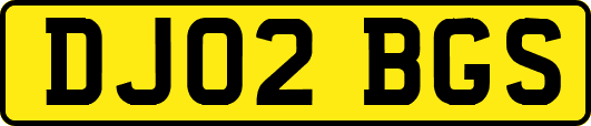 DJ02BGS